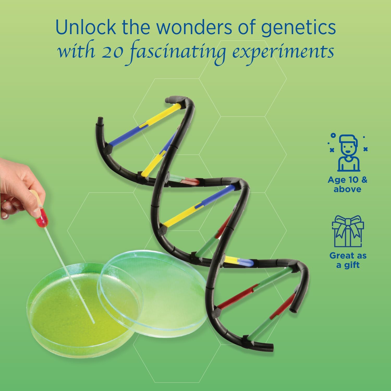 Genetics & DNA Lab