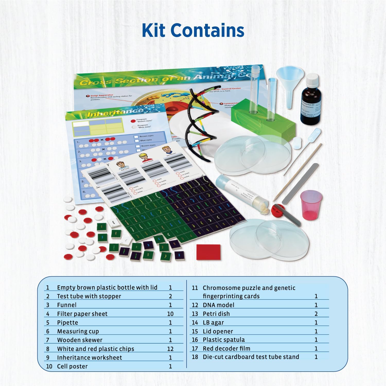 Genetics & DNA Lab