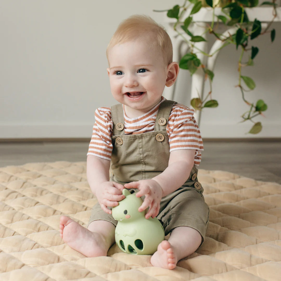 SILICONE RATTLE DINO