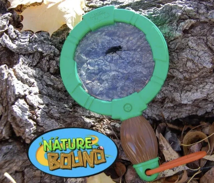 Big Magnifying Glass